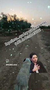 Repletimoz...que hacer en la bolsa sas antes del 31 de Octubre