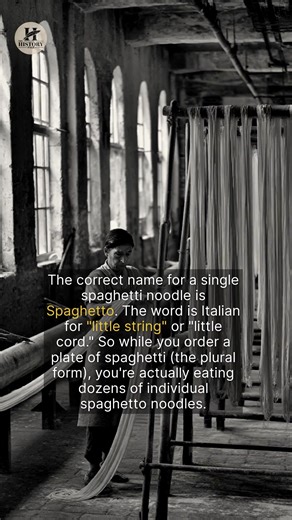 A single spaghetti is called a spaghetto, but its history is far from simple. | The History Page