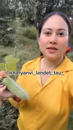 Haryanvi Tau on Instagram: "सुधार कर भाई 😢 . . #masti #viral #haha #haryanvi #tau #comedy #haryana"