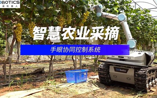 【智慧农业采摘盛宴 】多种机械臂与无人车共同上阵，轻松采摘水果！手眼协同控制，开启未来智慧果园模式