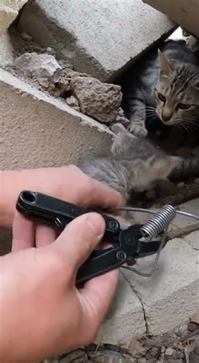 Hands Twisting Spring in a Tight Rubble Corner