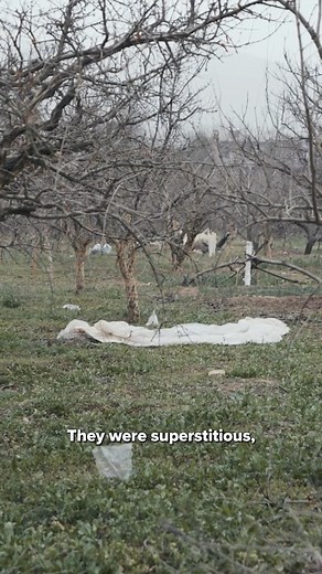 719K views · 10K reactions | Dan Snow (@thehistoryguy) comes face to face with the Terracotta Warriors - but who made them? And why? 樂 Find out in our brand new documentary, The First Emperor of China, out now on History Hit  | History Hit | Facebook