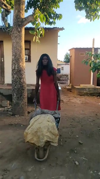 Entry No.3 #TrailerChallenge | Driemo