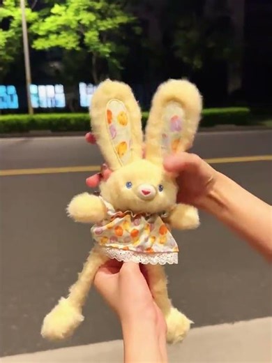 My good friend, please send me a bunny with floppy ears. Thank you!