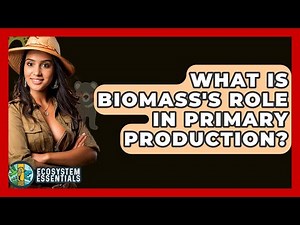What Is Biomass's Role In Primary Production? - Ecosystem Essentials