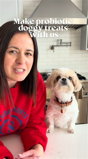 Making probiotic treats for our dog