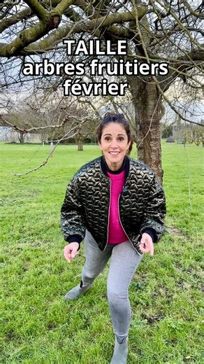 La taille des arbres fruitiers en février au jardin ! Fin février/ début mars période idéale pour la taille pour booster la production de vos arbres fruitiers 😉 #arbresfruitiers #taillearbres #jardinage #astucejardin Blouson @maisonlurex @elsaparischic | Caroline Munoz