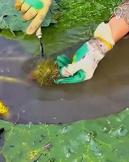 4.7K views | Check out these hidden gems  | Doodle Dreams | Facebook