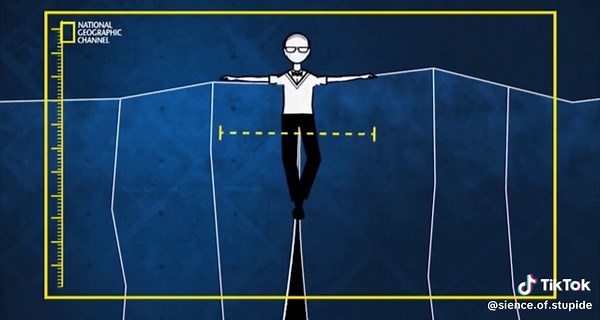 Exploring the Science of Humor and Stupidity