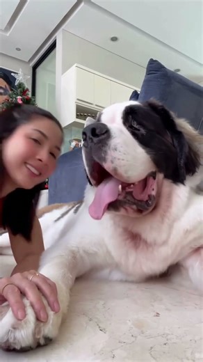 YouTube shorts monetization is easy once you know what works... I’m living proof that dogs pay.