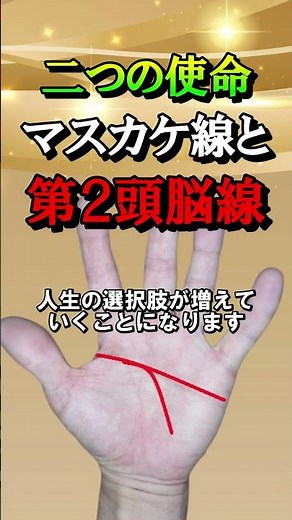 ２つの使命を持つマスカケ線と頭脳線の融合型【日曜日朝の開運zoom招待状⇒説明欄へ】＃Shorts＃手相＃大和易＃手相鑑定＃スピリチャル＃開運＃潜在意識＃金運＃人気＃占い＃龍神＃式神