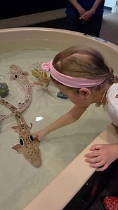 My visit to Mote Marine in Sarasota Florida. Did you know that Eugenie Clark, also known as the Shark lady, worked at Mote. She helped built Mote Marine Laboratory, and made it what it is today. I will be starting an intensive science orientated homeschool class at Mote, I can't wait. We might even be able to collaborate with Mote and Mina's Art World.🤗 I love the Virtual Reality trips. You get to swim with Whales, Manta Rays and Sharks, it feels sooo real, like you are right there. Enjoy the t