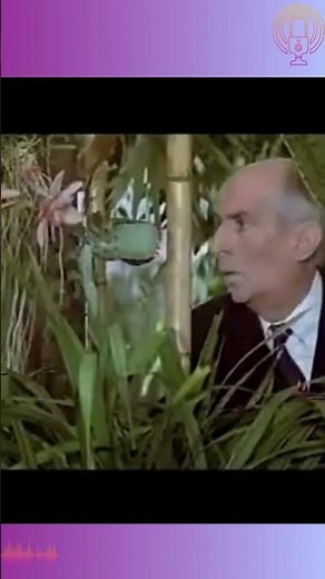#Short extrait du film la zizanie doublé en allemand (Louis de Funès / Annie Girardot)