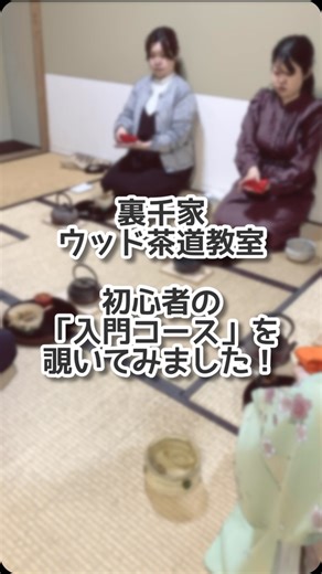 初心者🔰の茶道『入門コース』 7回目のお稽古を覗いてきました！ 初めて自分で点てたお茶の味は美味しかったかな？😊 #ウッド茶道教室 #裏千家 #茶道教室 #抹茶 #和菓子 #茶道体験 #新宿御苑 #japaneseteaceremony #tokyo | 裏千家 ウッド茶道教室