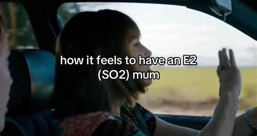 Understanding the E2 (SO2) Enneagram Personality Type