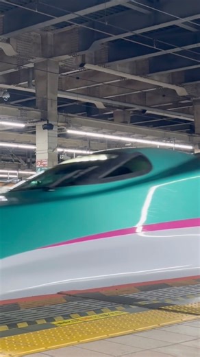 E5系 U21編成 はやぶさ号 大宮駅到着 #automobile #運行 #電車 #鉄道 #train #railway #はやぶさ #新幹線 #e5系