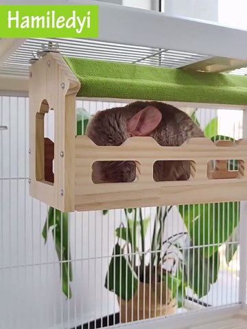 BEKILOLE Baby Balance Bike for 1 Year Old Girl Gifts, 12-24 Month Toddler Balance Bike, 4 Silent Wheels Pre-School First Ride On Toys, 1st Birthday Gifts