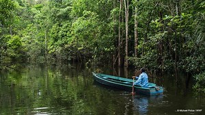 18K views · 968 reactions | While everyone loves rivers and lakes,...