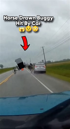 204K views · 2.2K reactions | Buggy Car Collided!!! #amishtiktok #amishbuilt #amish #amishcountry #amishlife | Amish Talk | Facebook