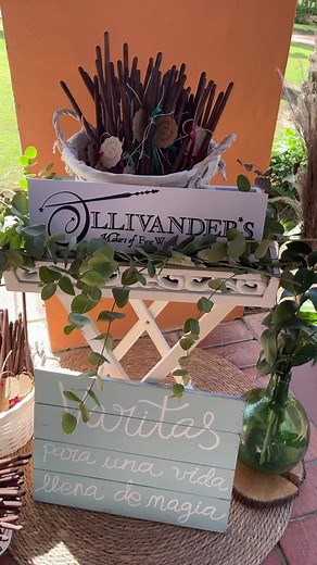 Videos de LOVE Wedding Planner (@loveweddingplanners) con “Harry Potter - Movie Magic And His Solid Gold Soundtracks”