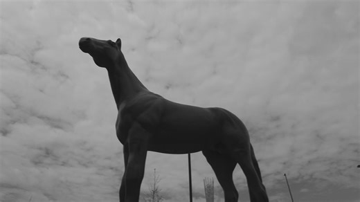 Lexington: The life, death and afterlife of the most famous thoroughbred you’ve never heard of
