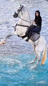 42K views · 1K reactions | Incredibly Beautiful | Beauty Of Nature | Facebook