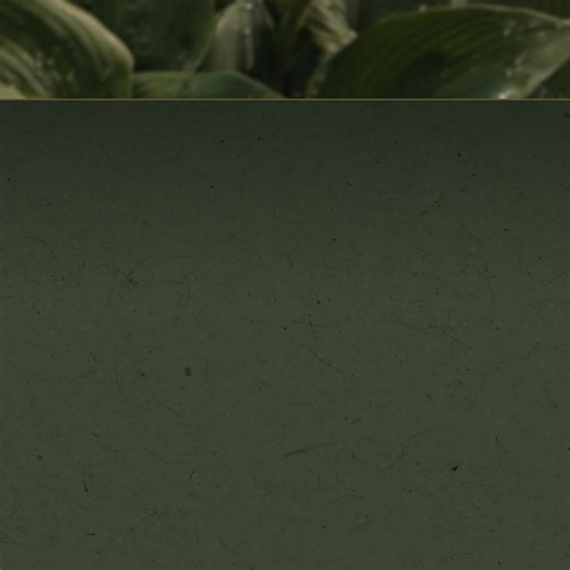 147 reactions · 13 shares | A park-inspired home is coming to Cebu! Enjoy resort-style amenities and serene living with DMCI Homes. | DMCI Homes | Facebook