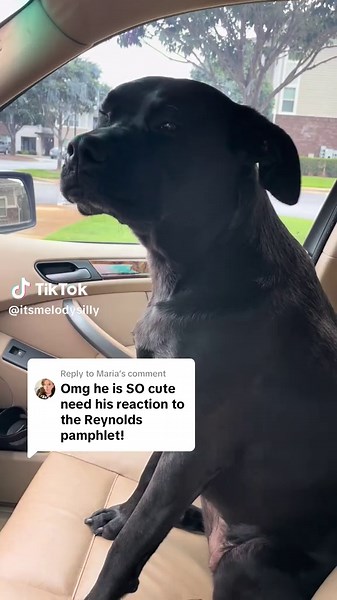 Tragic Turns in Hamilton's Storyline Unfold