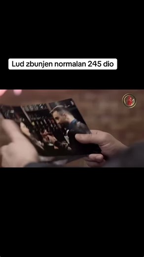 Lud zbunjen normalan - 245. dio