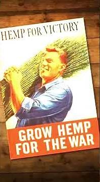 Hemp: The Forgotten Fields | How America Erased Its Greenest Industry