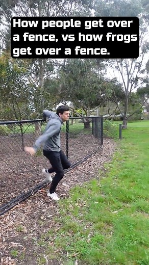5.8K views · 31 reactions | How people get over a fence, vs how frogs get over a fence #shorts #PeopleFirst #fences #frog #getover #funtimes #funnyclips #funnypost #funnyprank | Jiemba Sands | Facebook