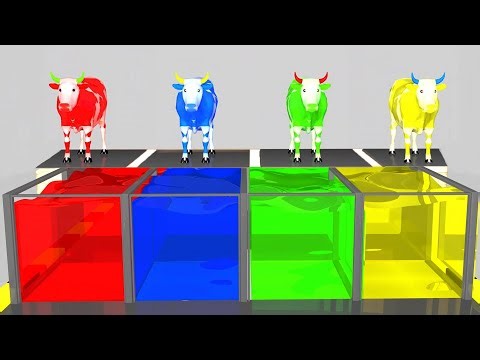 Farm Animals Bathing Colors Fun | Learn Colors for Children Kids Toddlers To Learn With Cow Cartoon