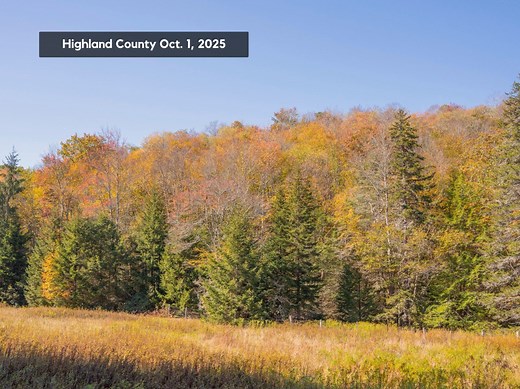 Virginia’s second fall foliage report of 2025 shows minimal changes in most areas