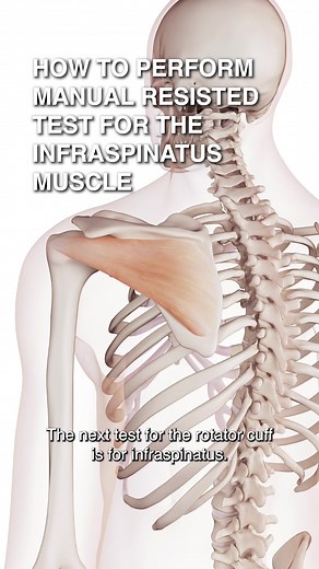 15K views · 346 reactions | How To Perform Manual Resisted Test For...