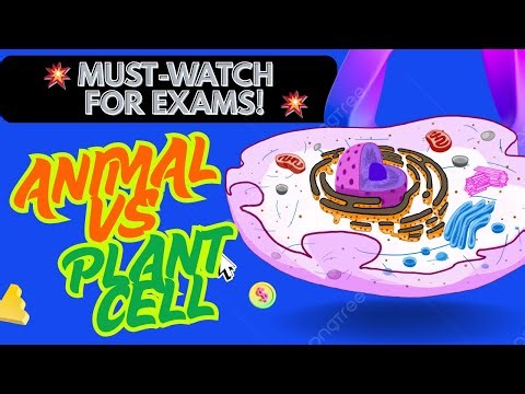 🔬 The Cell: Fundamental Unit of Life | Animal & Plant Cell Explained with Diagram | Class 9–12 Bio