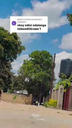 Cheerful ZimWarriors Songs for Football Fans
