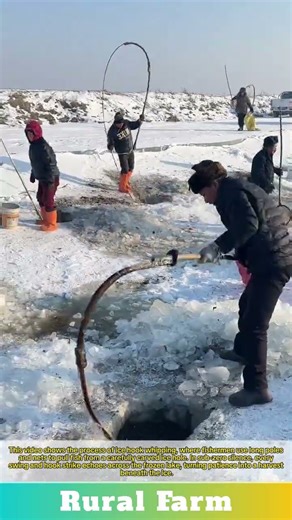 Ice Hook Whipping: Using Poles and Nets to Pull Fish from The Ice Hole
