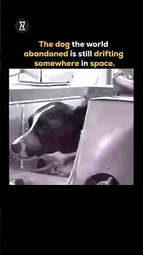 Still Drifting: The Haunting Fate of the Abandoned Space Dog #trendingshorts #space #facts