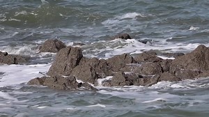 Mer Vagues Rochers - Free video on Pixabay