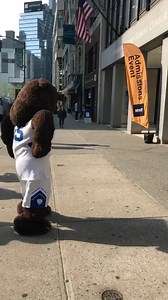 23 reactions | It’s been a great Preview Day in NYC! Congrats to our admitted students and applicants. #NYIT | New York Institute of Technology | Facebook