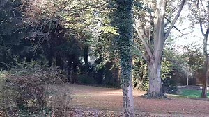 1K views · 47 reactions | Morgenbad! 閭閭閭Frischfröhlicher Tagesstart im schönen Kurpark Werl! | Rundblick Unna | Facebook