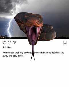 69 reactions · 6 comments | Do you remember our classic safety snake commercial? If you need a refresher, you can watch it here: https://youtu.be/wbxWeBdnkRo It's a good reminder that any downed power line can be deadly. You should always assume the wires are energized, even if that doesn’t seem likely. Learn how to stay safe near downed power lines: https://www.tep.com/news/vehicle-safety-around-downed-power-lines/ | Tucson Electric Power | Facebook
