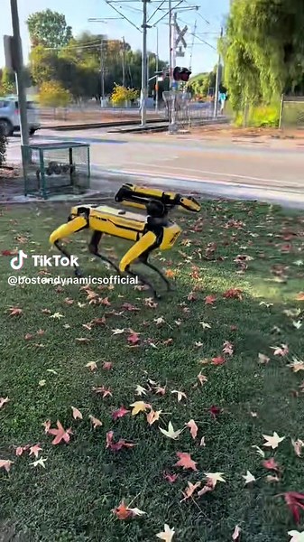 Giddy up!🤠🐎 #bostondynamics #bostontiktok | Boston Dynamics