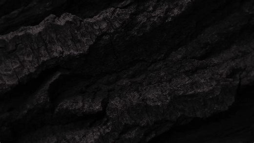 Kia PBV Japan 公式サイト