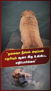 Trending Shorts Video #trendingreels #trending #trendingnow #trendingsongs #trendingaudio #trendings #trendingcouples👫 #trendingreelsvideo #trendingvideos #insta #instatrending #instatrend #vijaytv #zeetamil #kpybala #newtrend #newvibes #comedy | Smile Shares Info