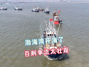 渤海湾开海啦！大小渔船争相出海太壮观了，祝父老乡亲们鱼获满满
