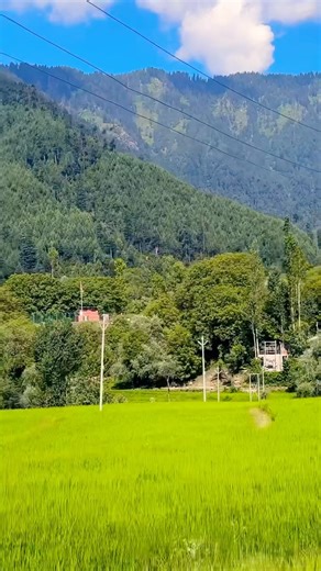 Love your Children - Save Environment #shorts #naturedocumentaries #shortfeed #shortviral