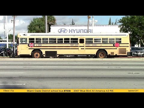 Random Miami Dade, Broward and Private Operator school bus action filmed between 2018 and 2020