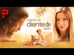 Película Cristiana |Como Diente de León 🌱✨ Una Historia de Perdón y Esperanza