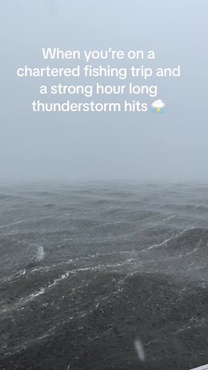 Captain Steve kept us safe!